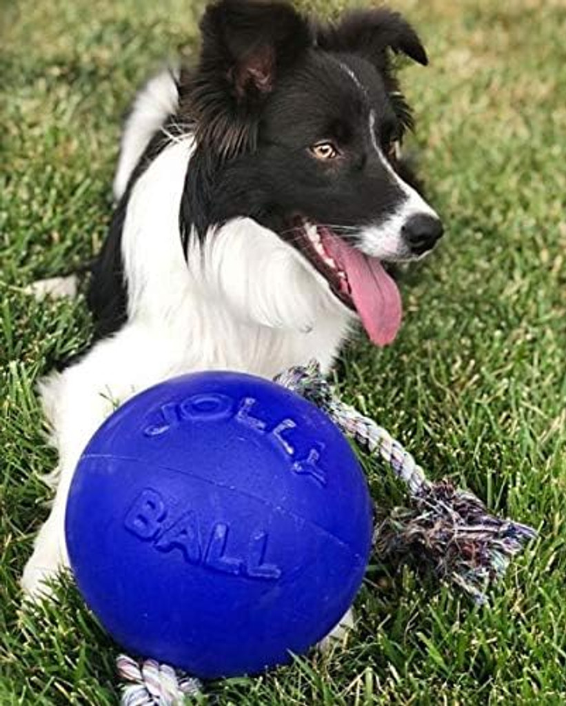 Jolly Pets Romp-n-Roll 8 inch Blue  Rubber Ball with Rope for Dogs