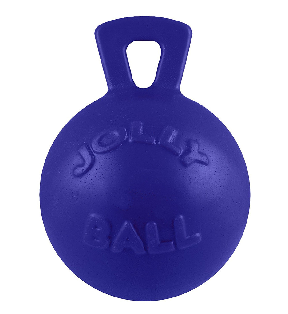 Jolly Pets Tug-N-Toss 6 inch Blue  Rubber Ball with Handle Chew Toy for Dogs