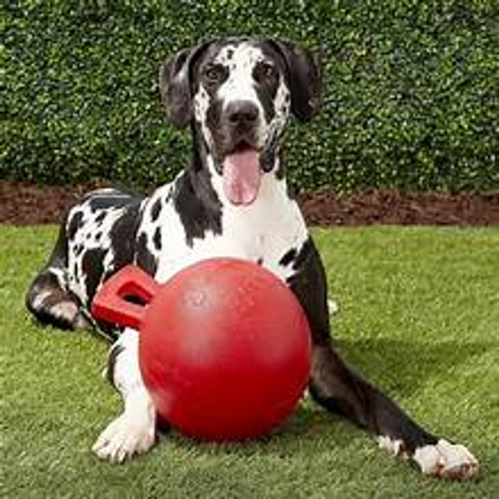 Jolly Pets Tug-N-Toss 10 inch Red  Rubber Ball with Handle Chew Toy for Dogs