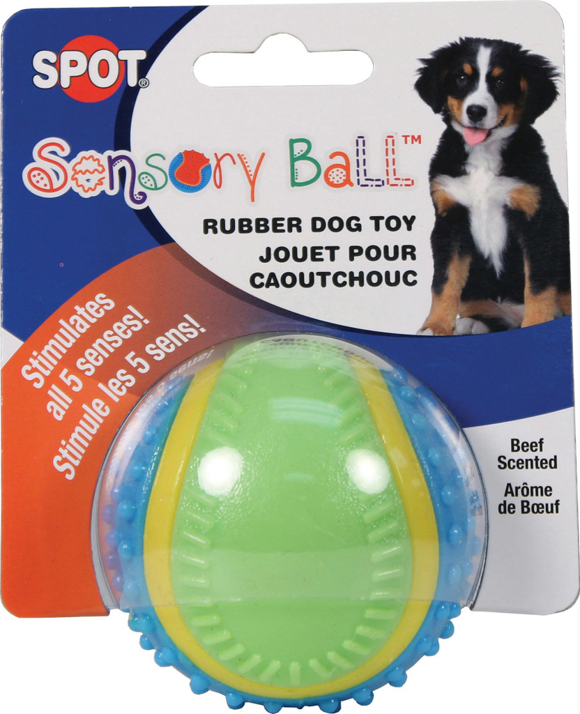 Ethical Pet Spot Sensory Ball 2.5 inch  Colorful Rubber Squeaker Toy for Dogs