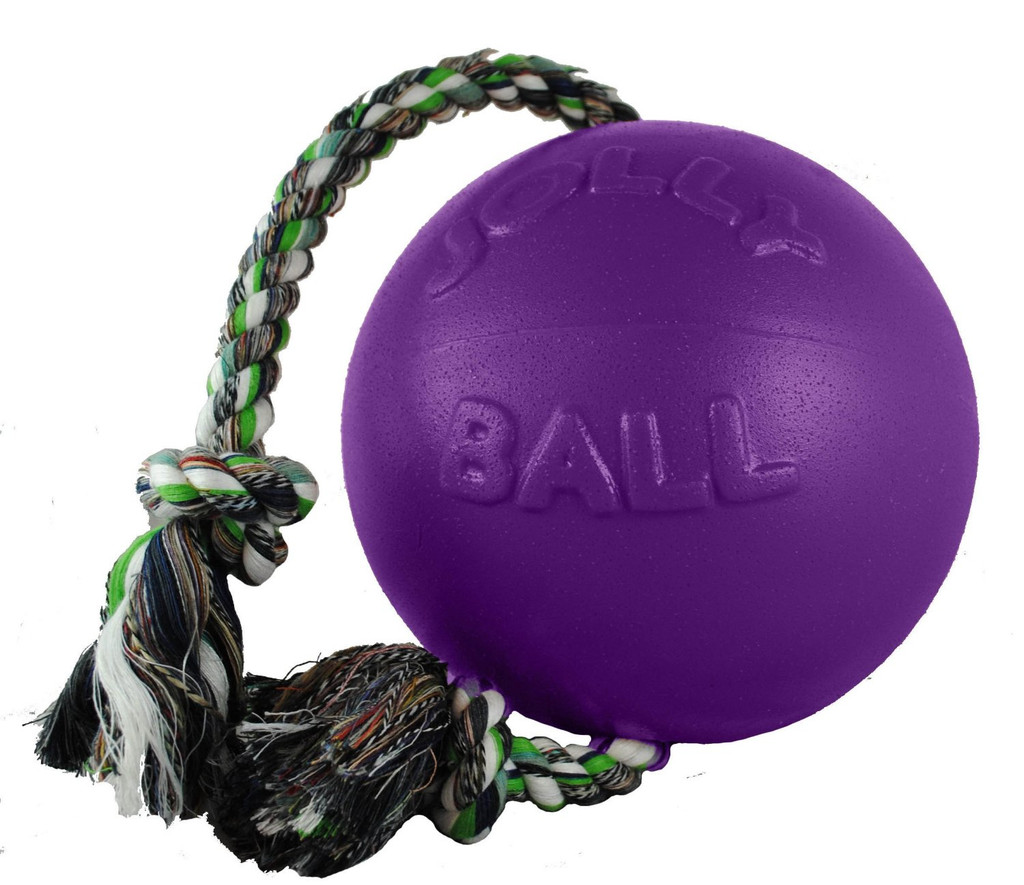 Jolly Pets Romp-n-Roll 6 inch Purple  Rubber Ball with Rope for Dogs