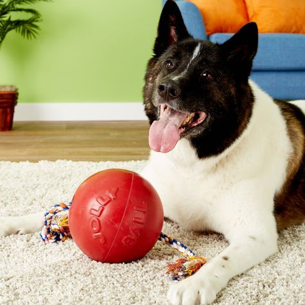 Jolly Pets Romp-n-Roll 6 inch Red  Rubber Ball with Rope for Dogs