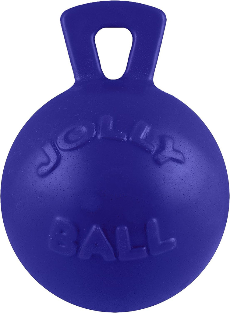 Jolly Pets Tug-N-Toss Ball with Handle Blue 8 inch  Rubber Chew Toy for Dogs