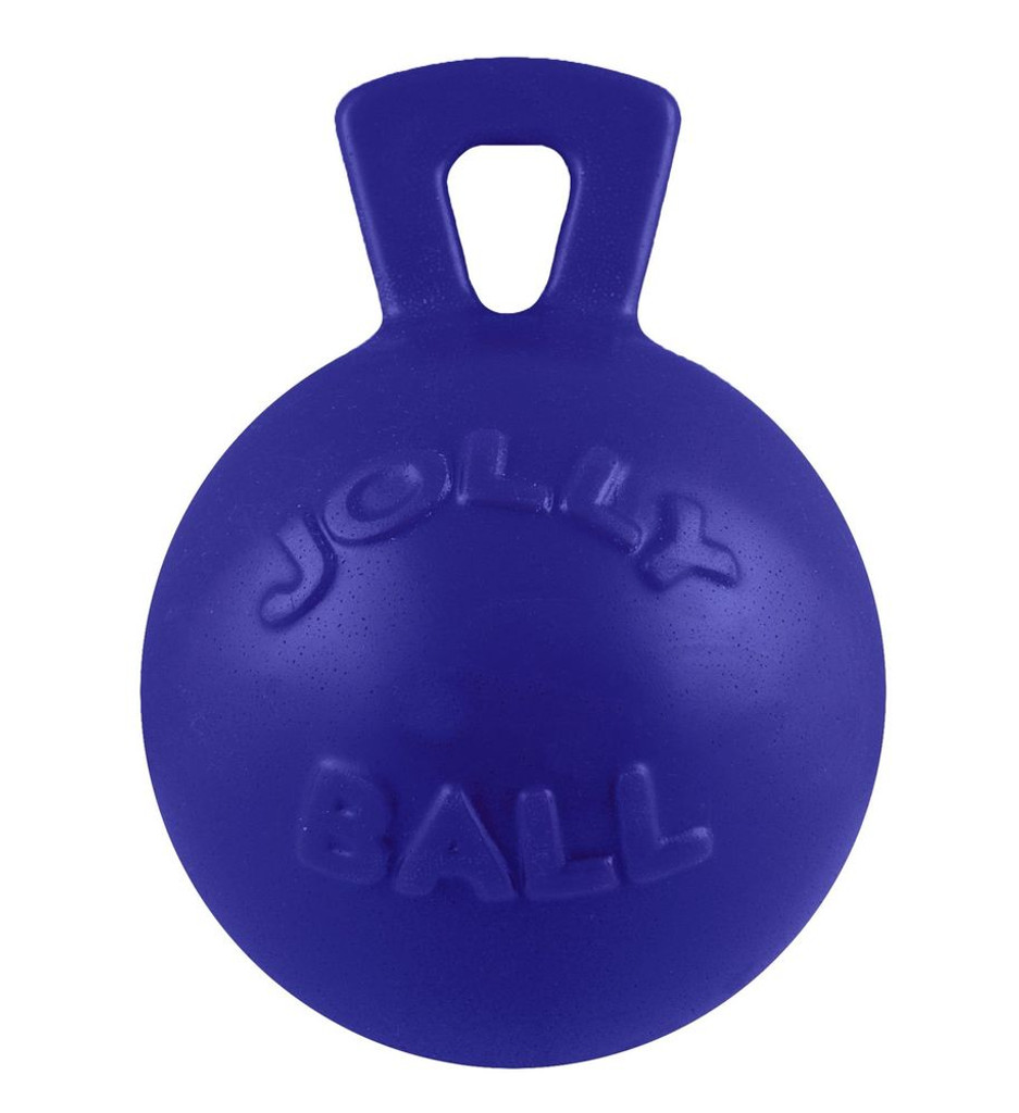 Jolly Pets Tug-N-Toss 10 inch Blue  Rubber Ball with Handle Chew Toy for Dogs