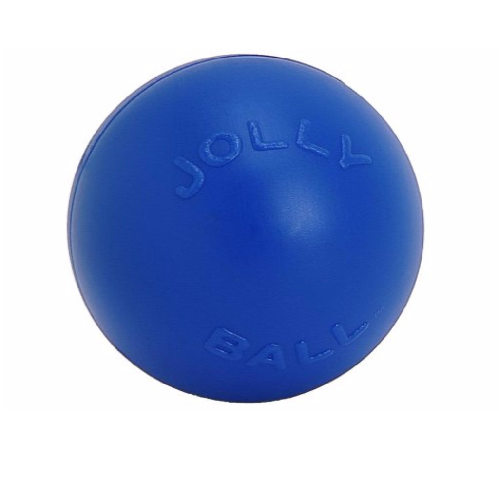 Jolly Pets Push-N-Play Ball Blue 6 inch  Hard Plastic Chew Toy for Dogs