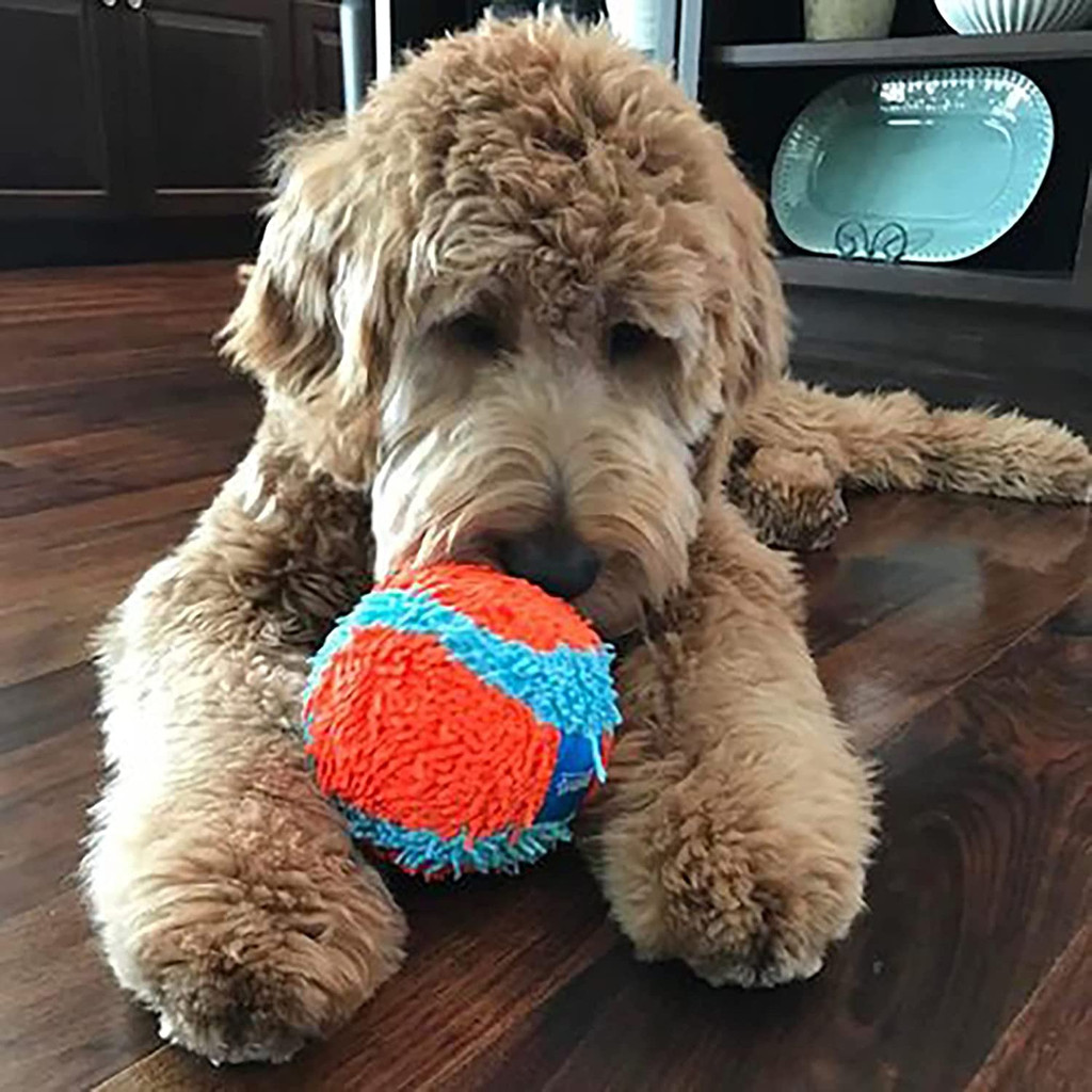 Chuckit! INDOOR FETCH TOYS Dog Puppy Soft Quiet Interactive Play ROLLER BALL