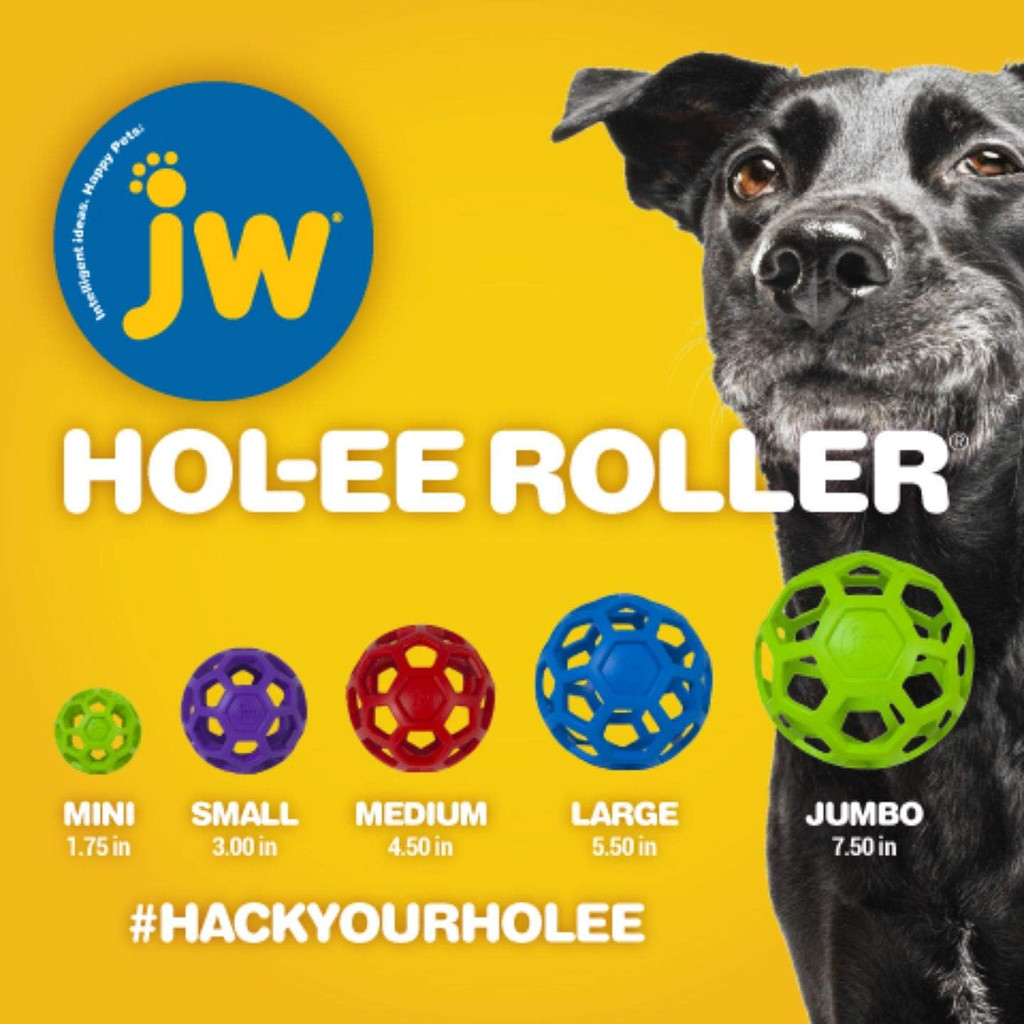 JW Pet HOLEE ROLLER BALL Dog Chew Treat Fetch Bouncy Toy SMALL 3.5 inch