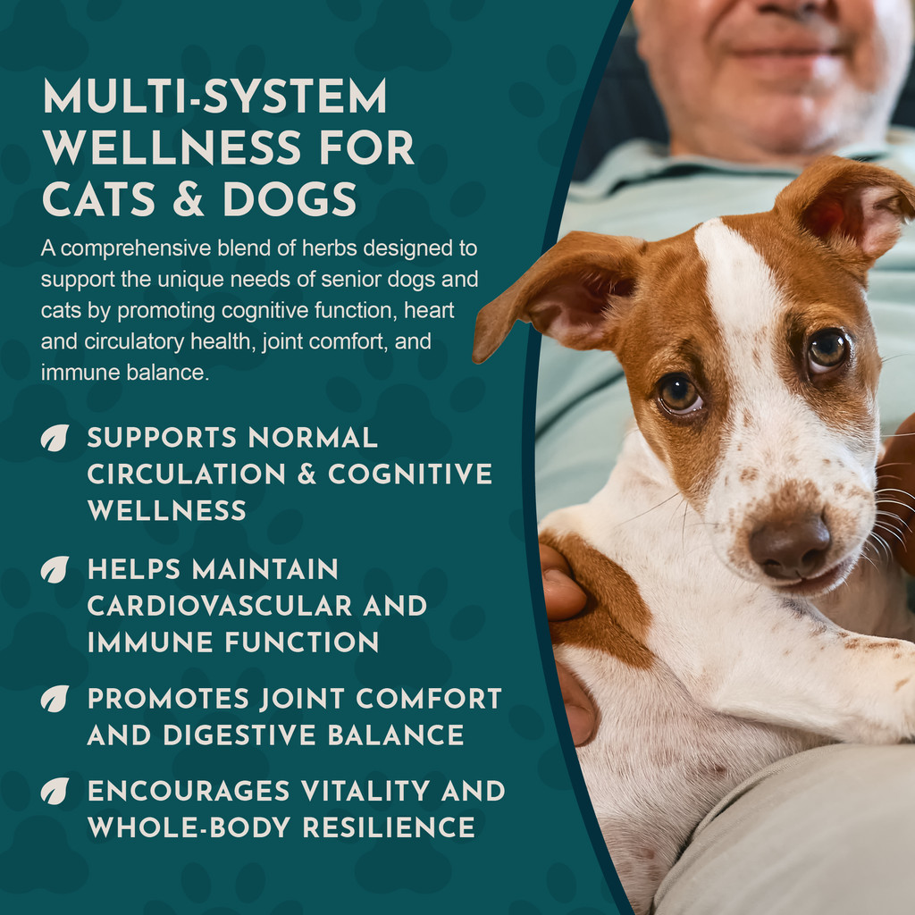 Animal Essential SENIOR BLEND (Immune System) Dog Cat 1 ounce