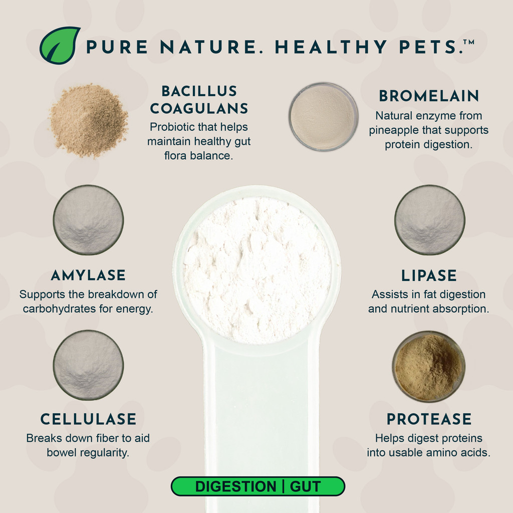 Animal Essentials Plant Enzymes and Probiotics 300 gram Supplement for Pets