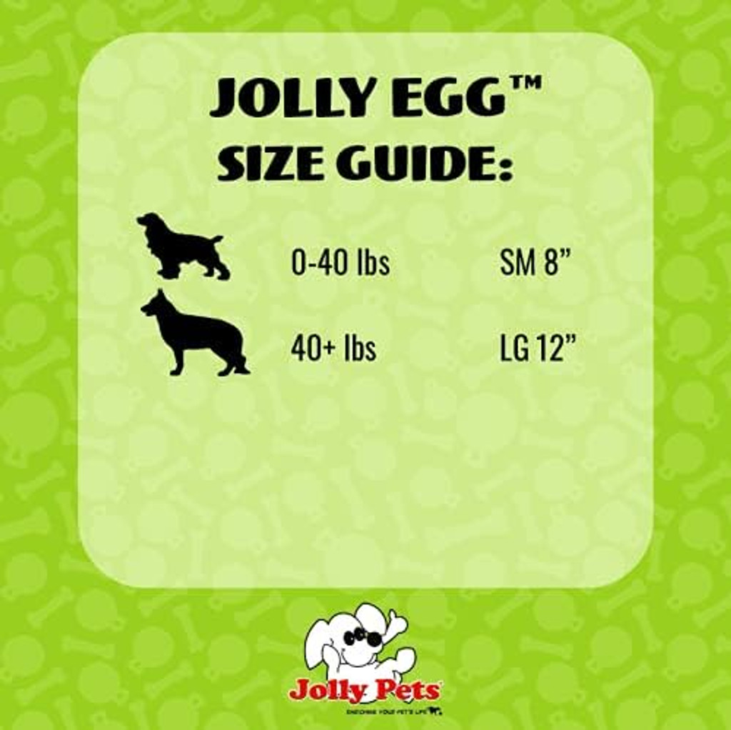 Jolly Pets Egg 12 inch Purple  Hard Plastic Chew Toy for Large Dogs