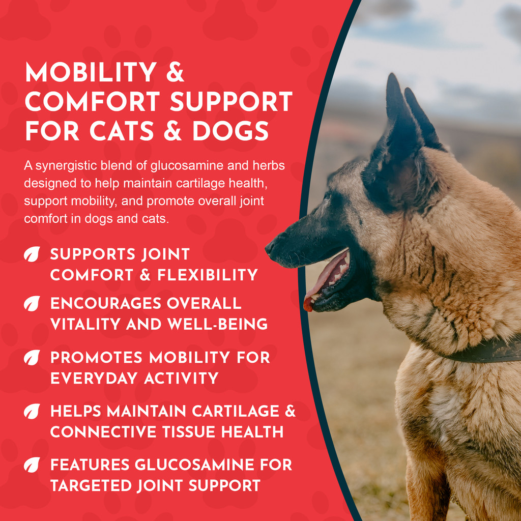 Animal Essentials Joint Health Alfalfa / Yucca Blend Dog Cat 1 ounce