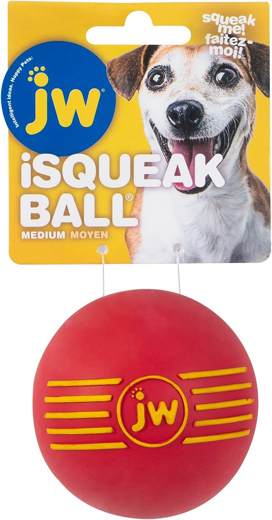 JW PET ISqueak Squeaker Dog Puppy Fetch Chew Toy MEDIUM BALL