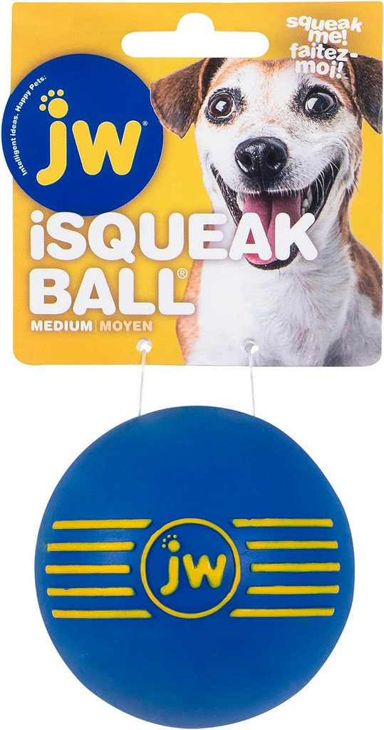 JW PET ISqueak Squeaker Dog Puppy Fetch Chew Toy MEDIUM BALL