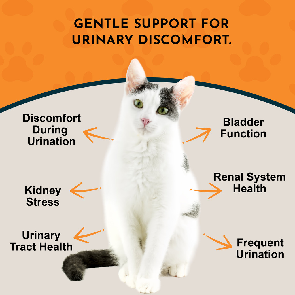 Animal Essentials Tinkle Tonic 1 oz Urinary Tract Formula for Dogs and Cats