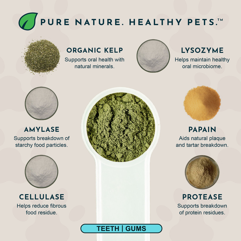 Animal Essentials Sea Dent for Dogs 70 gm Kelp and Enzymes Teeth Care