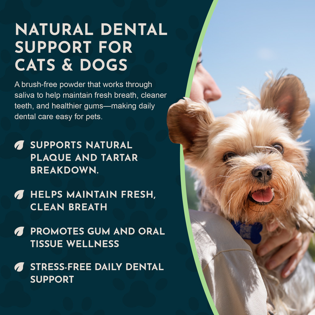 Animal Essentials Sea Dent for Dogs 70 gm Kelp and Enzymes Teeth Care