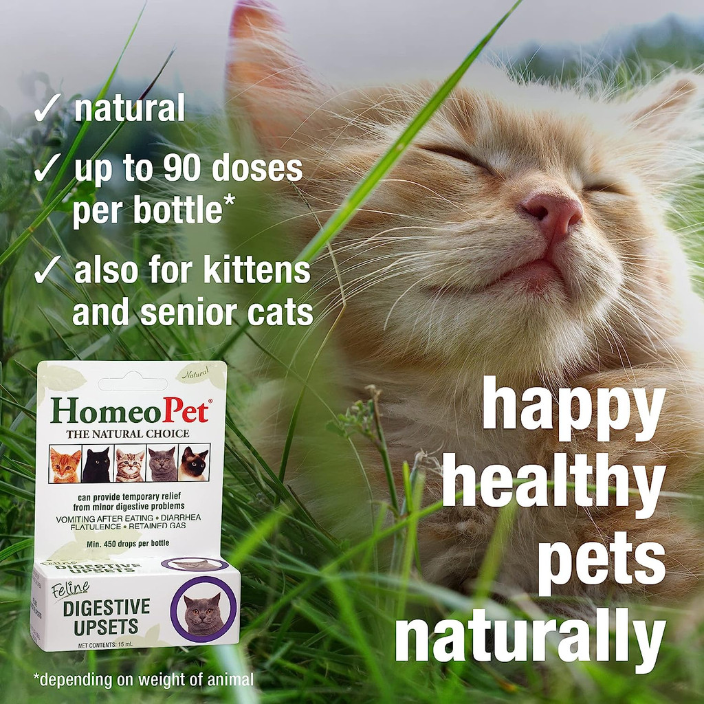 HomeoPet Feline Digestive Upsets 15 ml  Homeopathic Stomach Relief for Cats