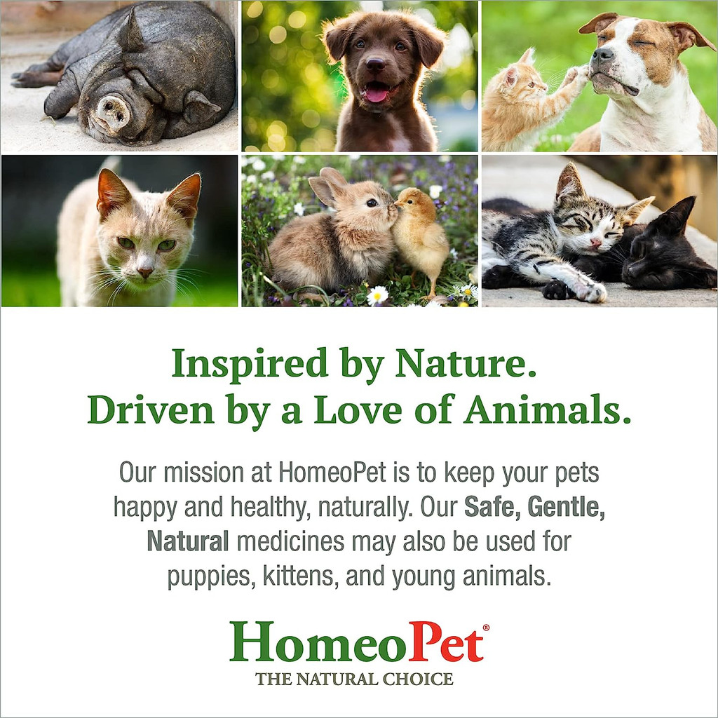 HomeoPet Feline Digestive Upsets 15 ml  Homeopathic Stomach Relief for Cats