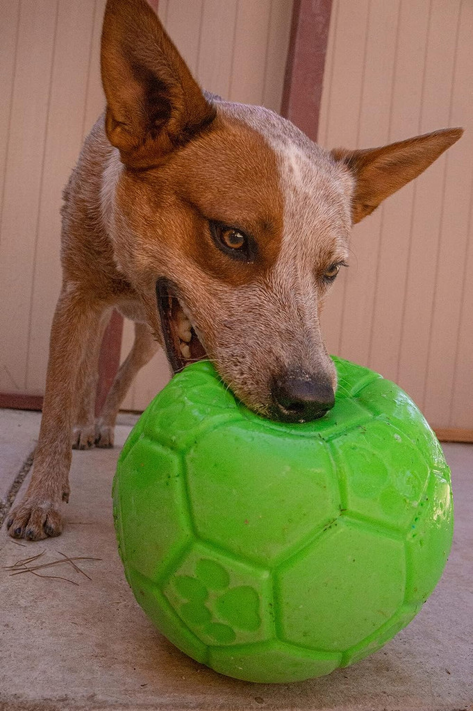 Jolly Pets Soccer Ball Green 6 inch  Apple Scented Rubber Chew Toy for Dogs