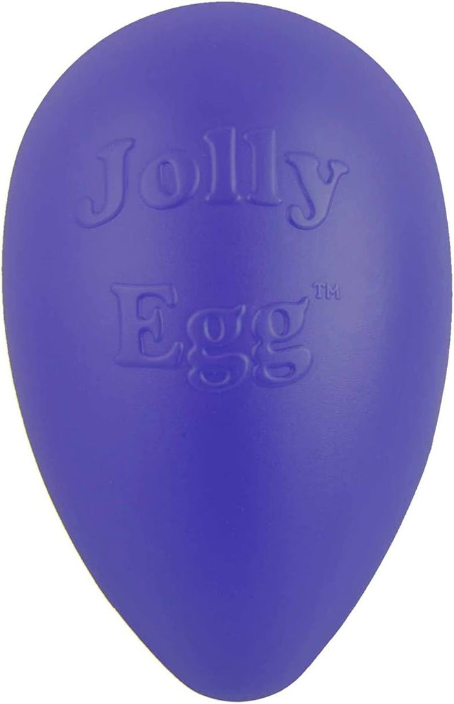 Jolly Pets Egg 8 inch Purple  Hard Plastic Chew Toy for Small Dogs