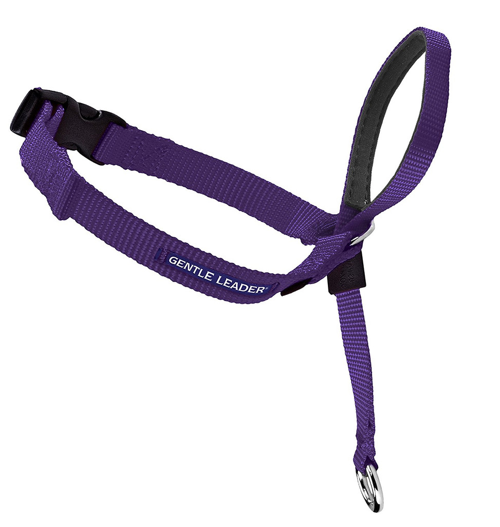 PetSafe Dog Quick Release GENTLE LEADER HEAD COLLAR Medium Deep Purple