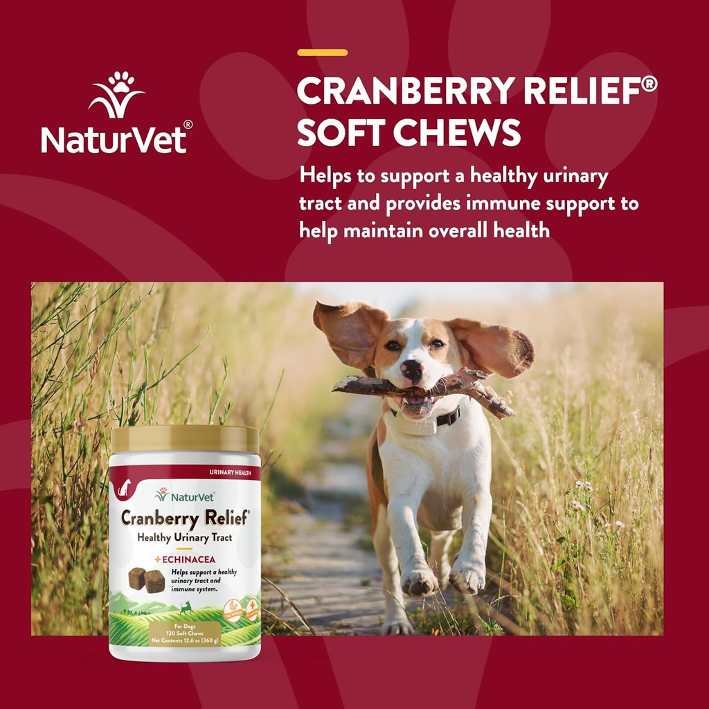 NaturVet Cranberry Relief 120 Count Soft Chew (Jar) with Echinacea for Dogs