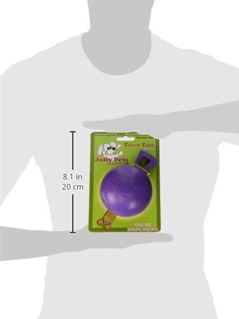 Jolly Pet Tug-n-Toss Mini Interactive Durable Float Bounce Dog Toy Purple 4 inch