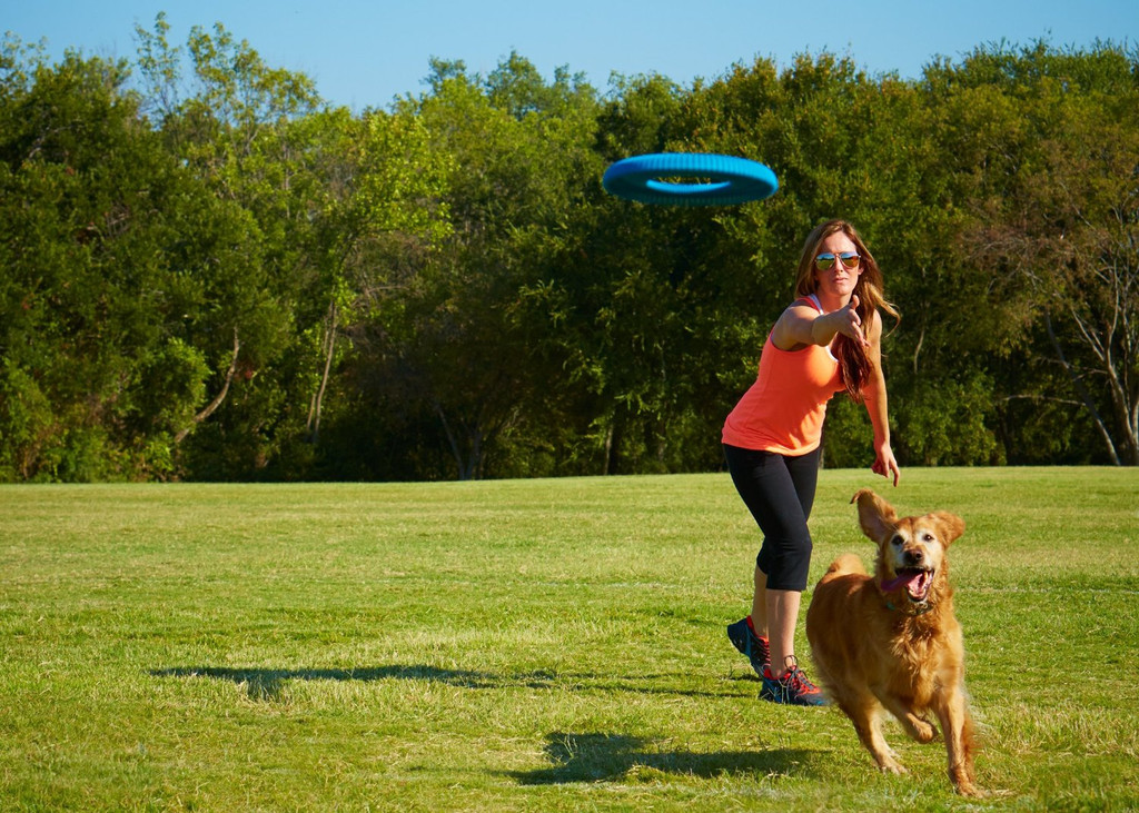 Chuckit Rugged Flyer Dog Fetch Water Play Toy