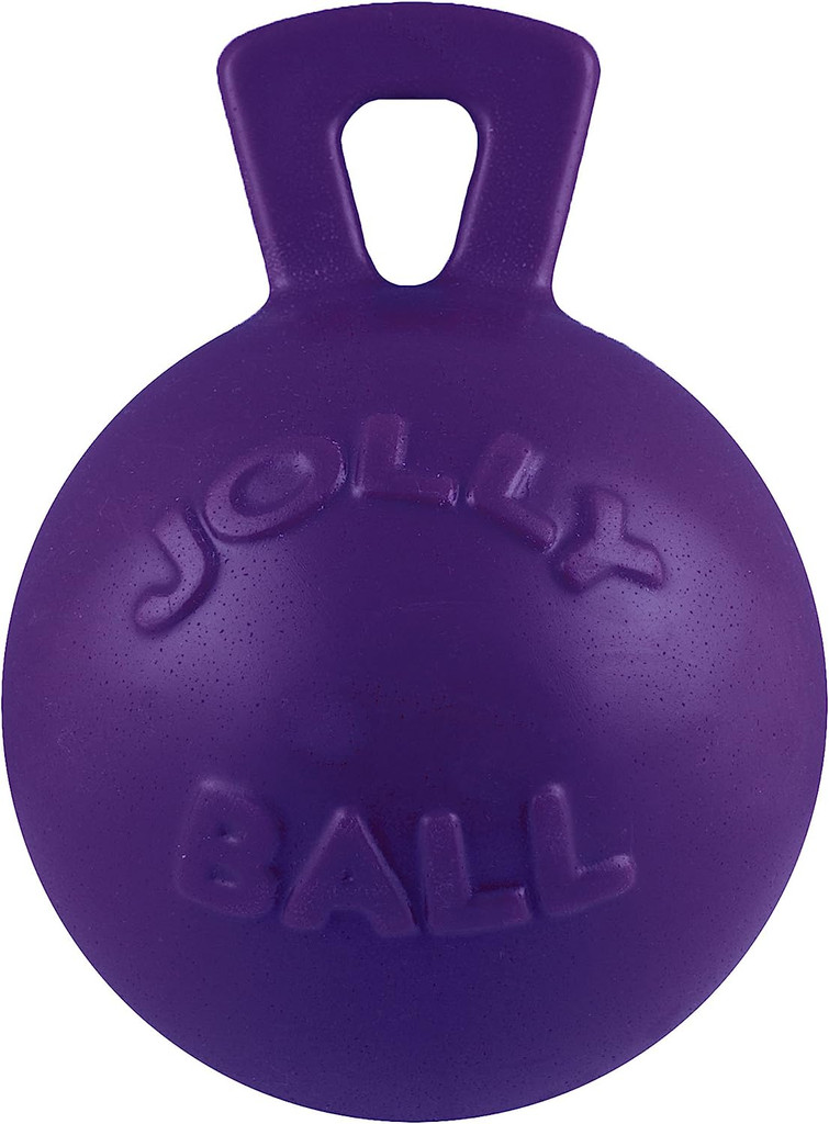 Jolly Pets Tug-N-Toss 6 inch Purple  Rubber Ball with Handle Chew Toy for Dogs