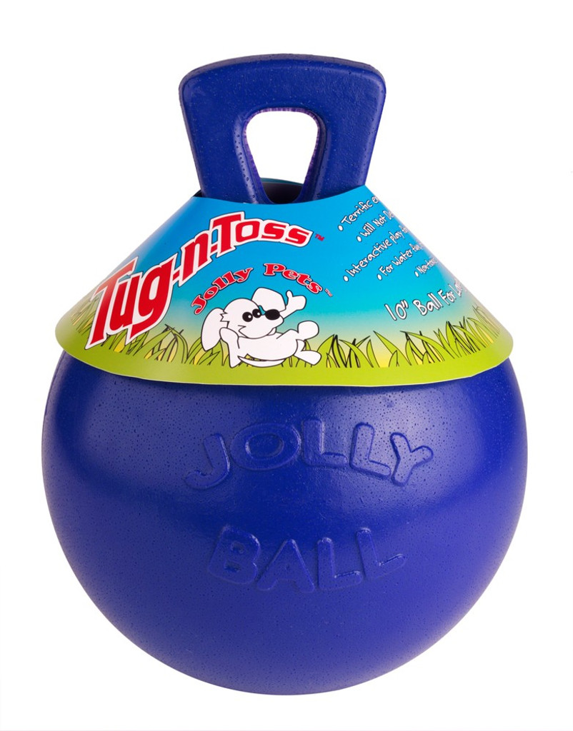 Jolly Pets Tug-N-Toss 4.5 inch Blue  Rubber Ball with Handle Chew Toy for Dogs