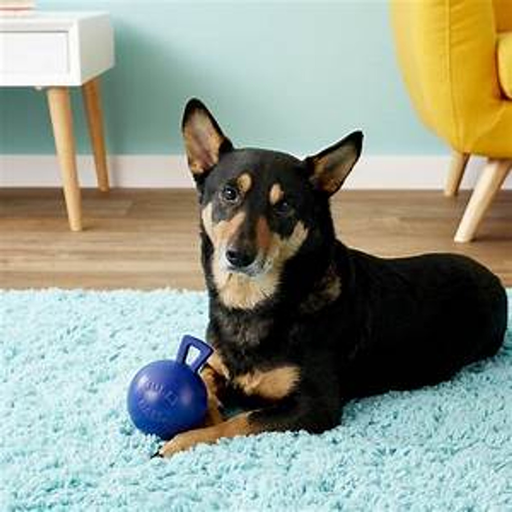 Jolly Pets Tug-N-Toss 4.5 inch Blue  Rubber Ball with Handle Chew Toy for Dogs