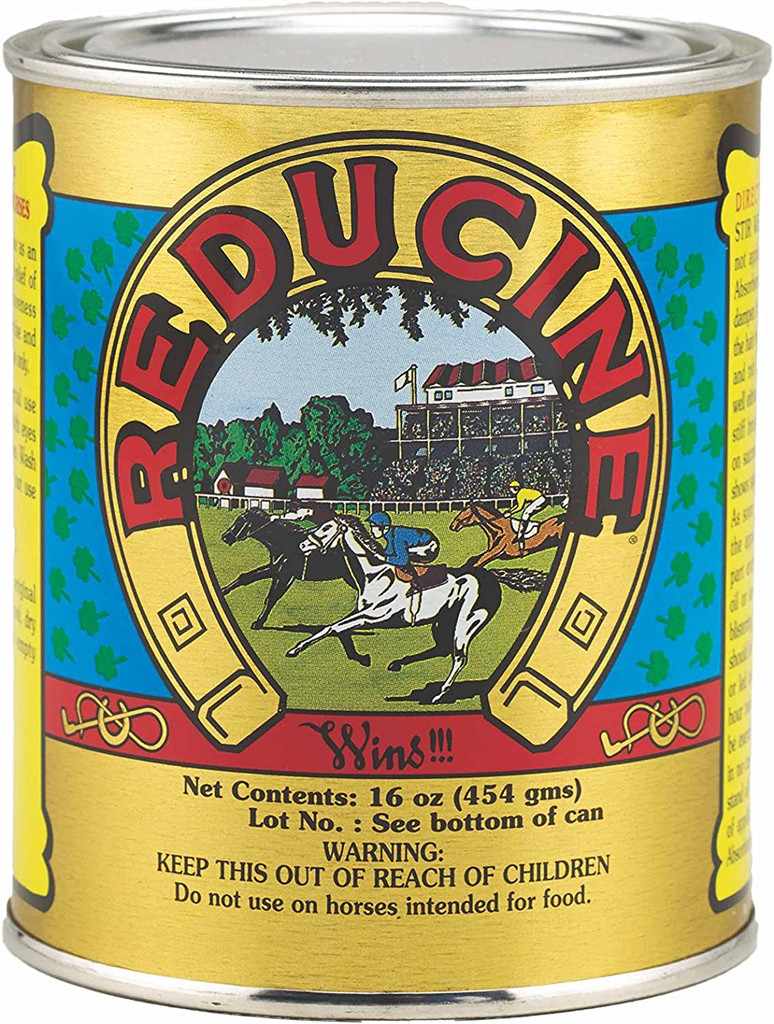 Reducine Absorbent 16 oz can  Topical Stiffness/Soreness Relief for Horses