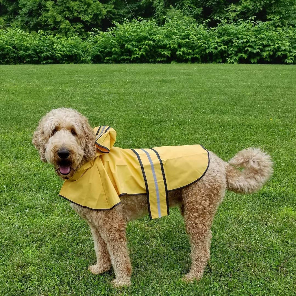 Ethical Fashion Pet Rainy Days Slicker Yellow Medium  Raincoat for Dogs