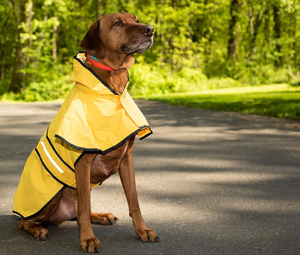 Ethical Fashion Pet Rainy Days Slicker Yellow Large  Raincoat for Dogs
