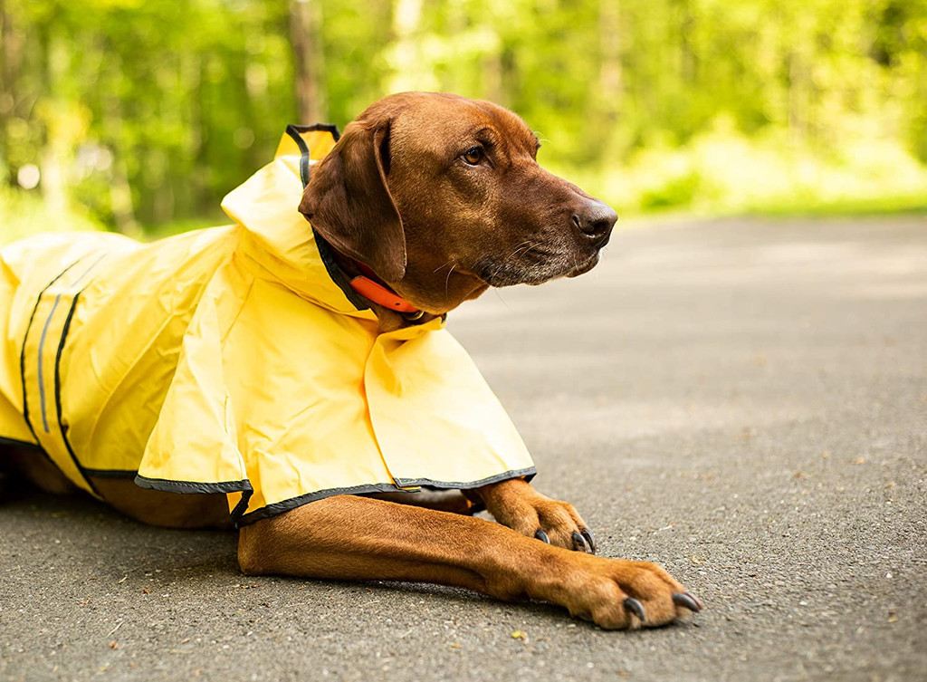 Ethical Fashion Pet Rainy Days Slicker Yellow Large  Raincoat for Dogs