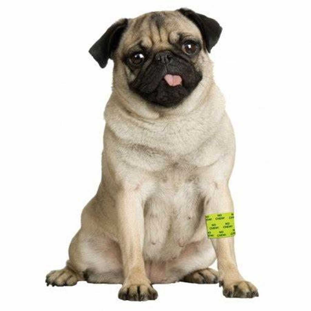 Andover Petflex 2 inch No Chew Bandage Wrap for Pets  Yellow  5 yard roll