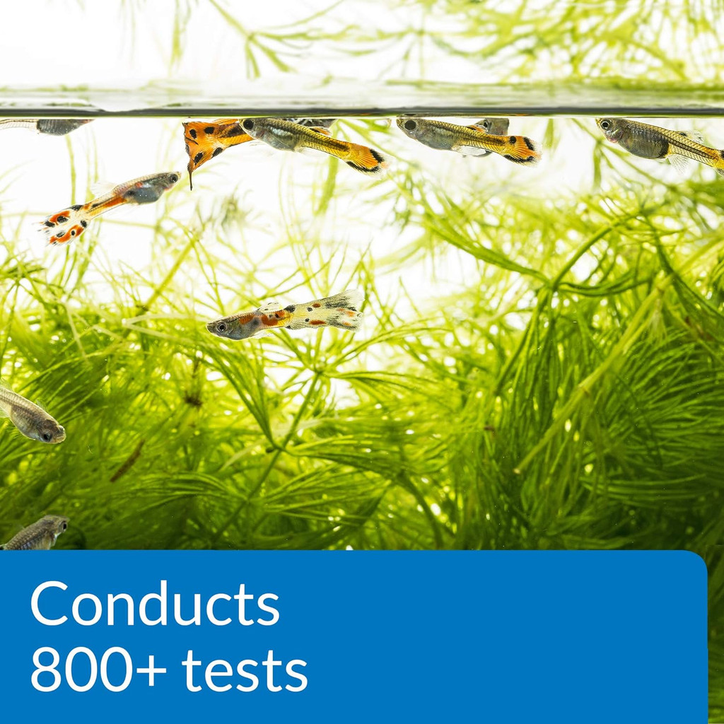API Freshwater Master Test Kit 800+ count  Promotes Healthy Fish Aquarium