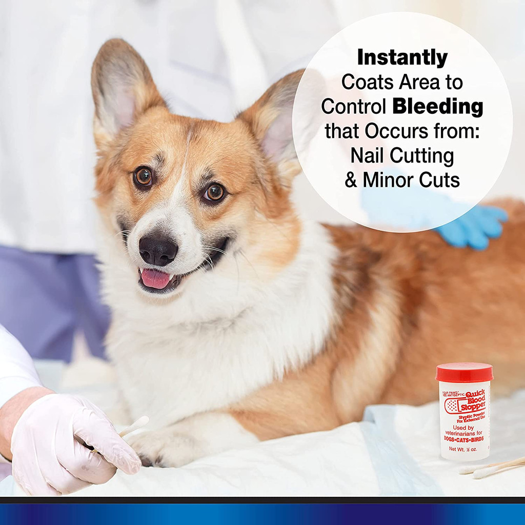 Four Paws Quick Blood Stop Powder 0.5 oz  Antiseptic Styptic for Pets