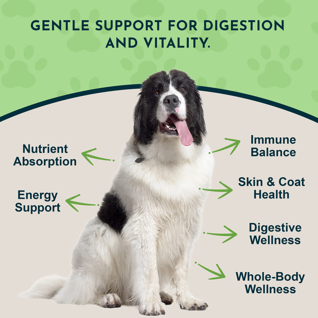 Animal Essentials Herbal Green Alternative Antioxidant For Dogs & Cats 12-Oz.