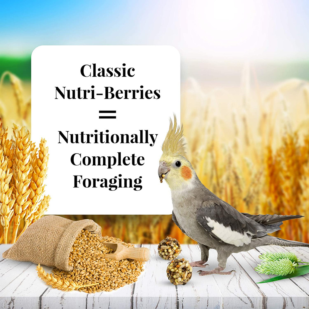 Lafeber's Classic Nutri-Berries Nutritional Cockatiel Bird Food 10-Ounces