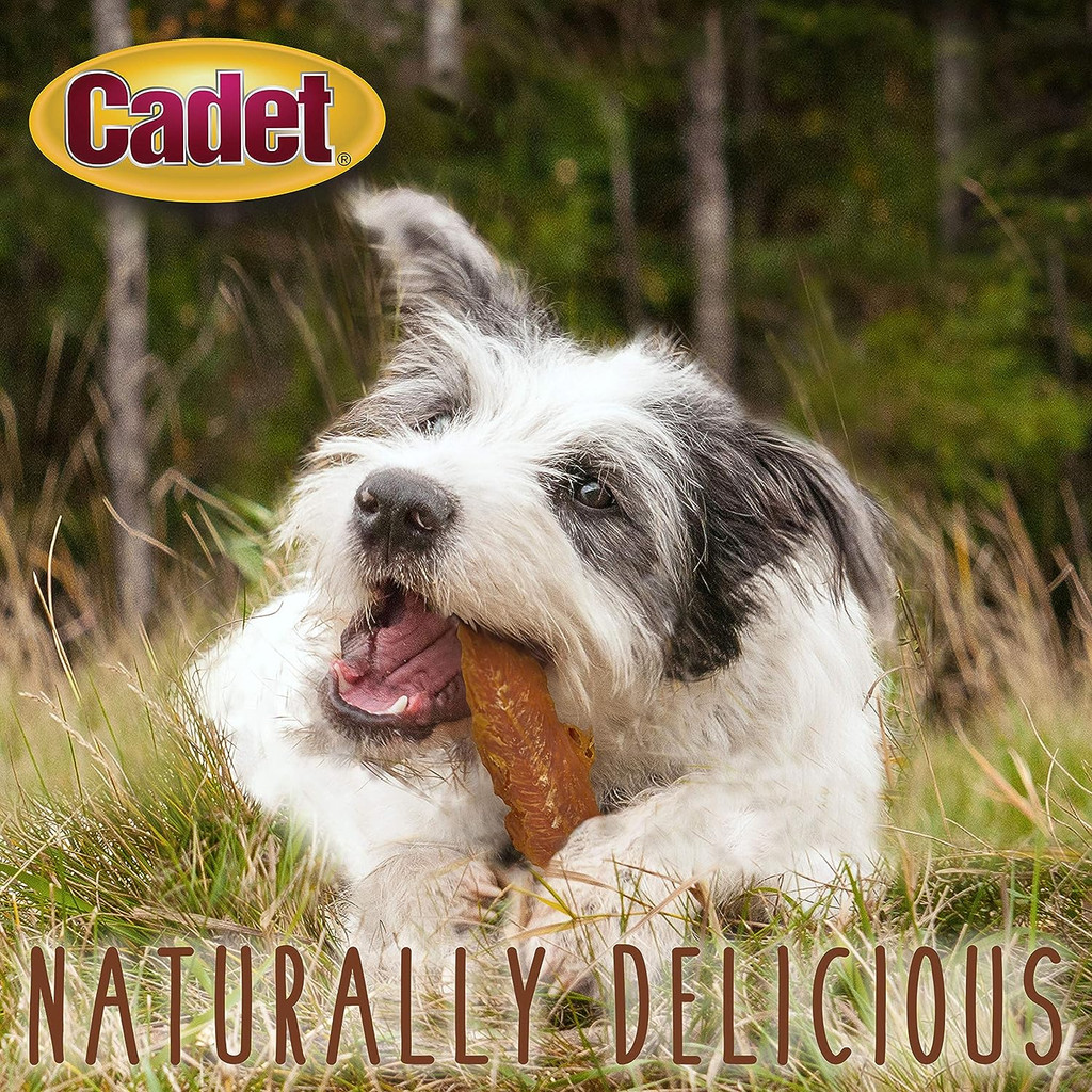 Cadet Gourmet Made With Real Chicken Breast Dog Treats 28-Ounces