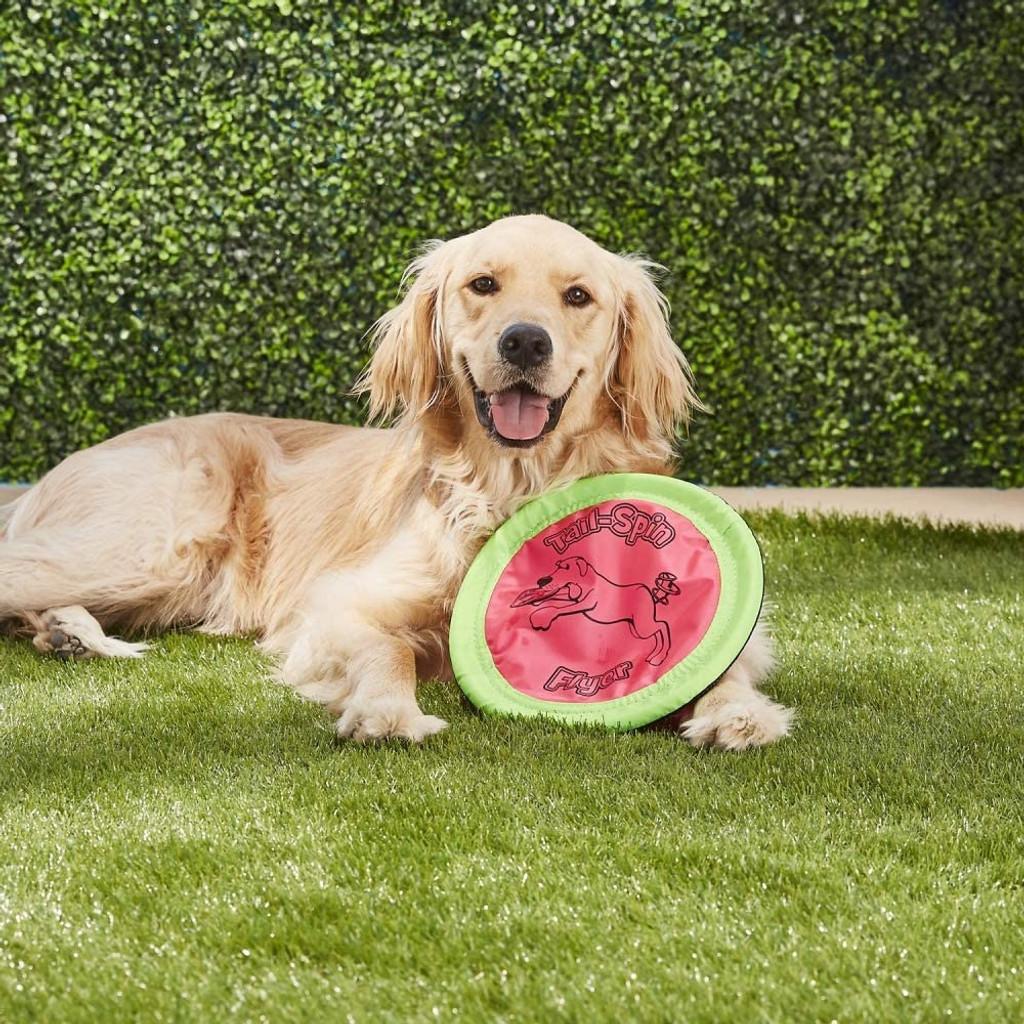 Aspen Booda SOFT BITE FLOPPY DISC Gentle Dog Fetch Toy Flyer Frisbee 10 inch