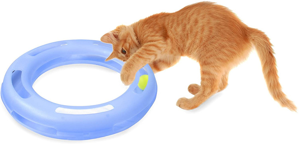 Petmate FAT CAT Crazy Circle Interactive Cat Chase and Play Toy