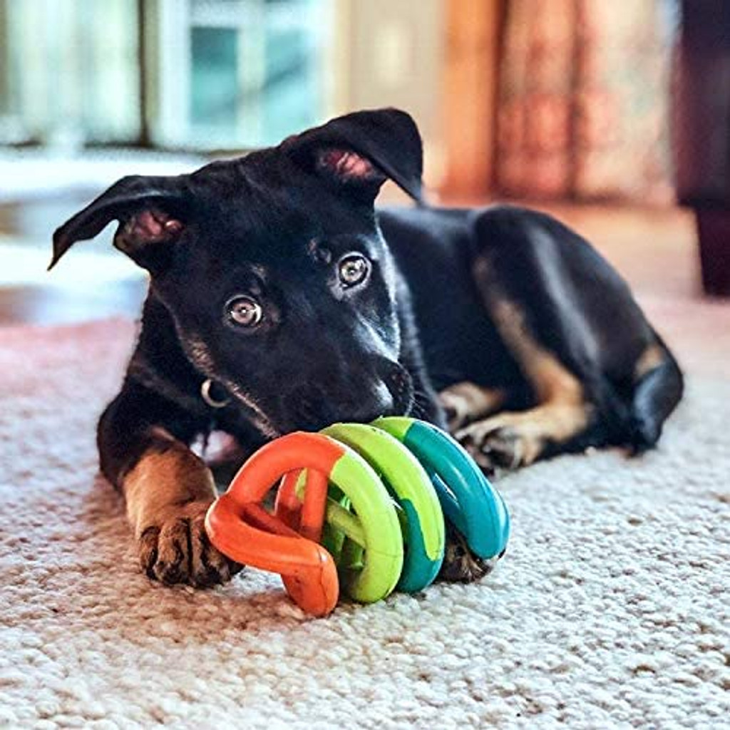 Petmate JW Dogs iN Action Durable Rubber DNA Dog Toy Small - Assorted Colors