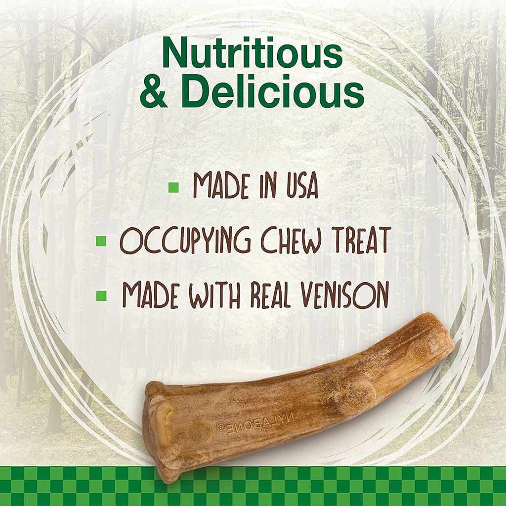 Nylabone Healthy Edibles Dog Chew Treats Wild With Real Venison Flavor 10 Chews