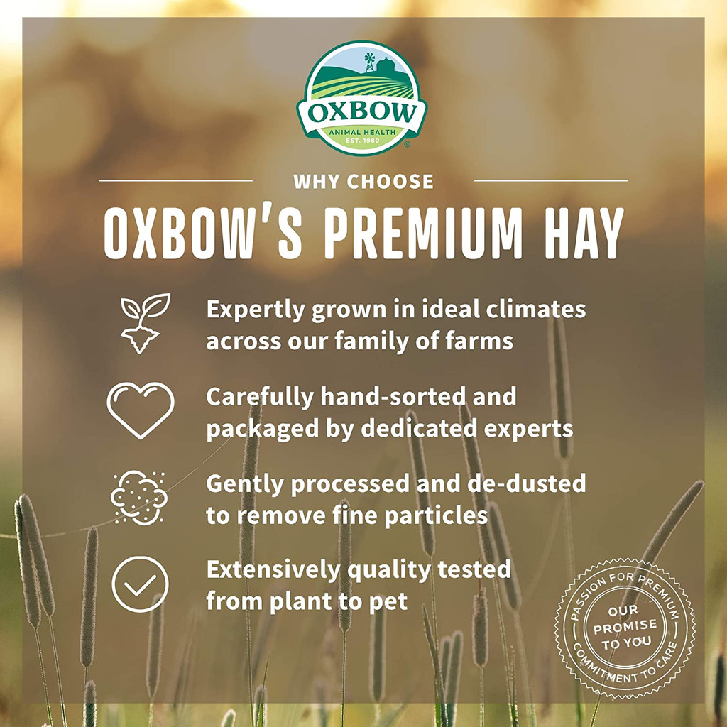 Oxbow Animal Health All-Natural Organic Meadow Hay 40-Ounce For Small Animals