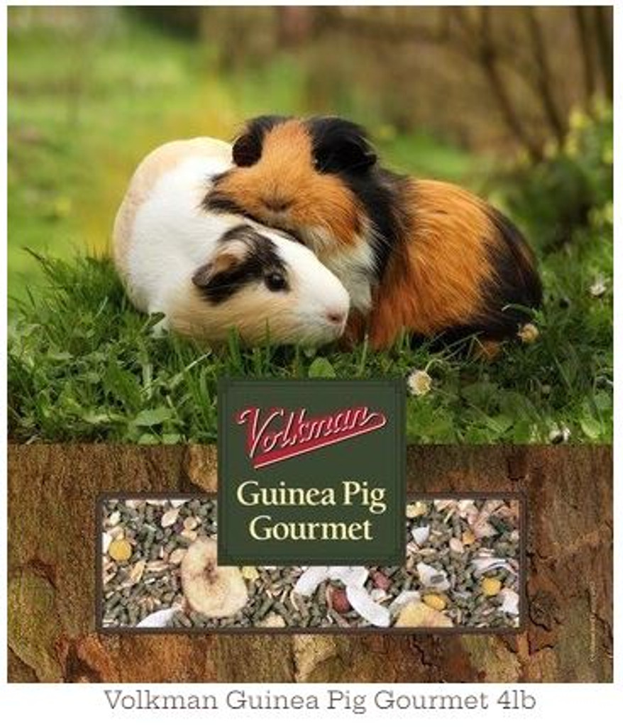 Volkman Guinea Pig Gourmet Food Healthy Formulated Nutritious Diet 4-Pound
