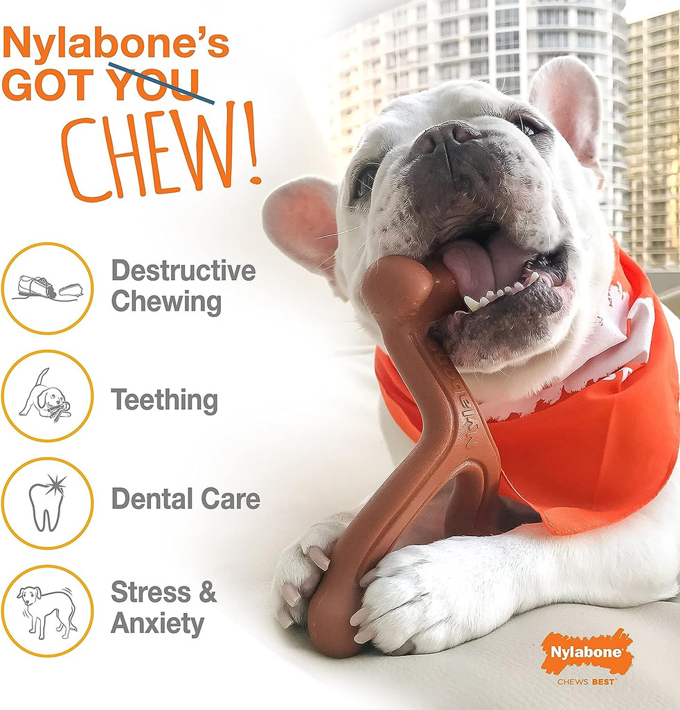 Nylabone Braided Bully Stick Alternative Large Dog Chew Bully Stick Flavor