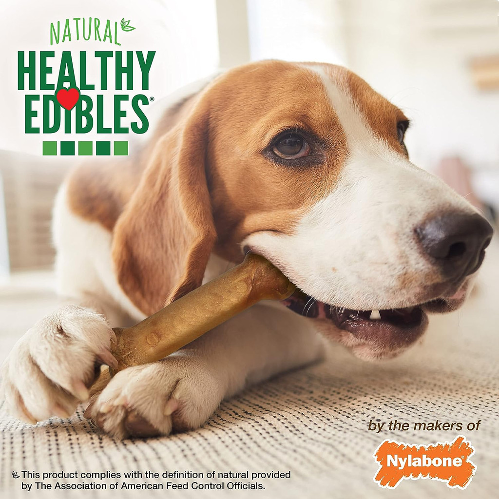 Nylabone Healthy Edibles All-Natural Medium Chew Treat Irresistible Bacon Flavor
