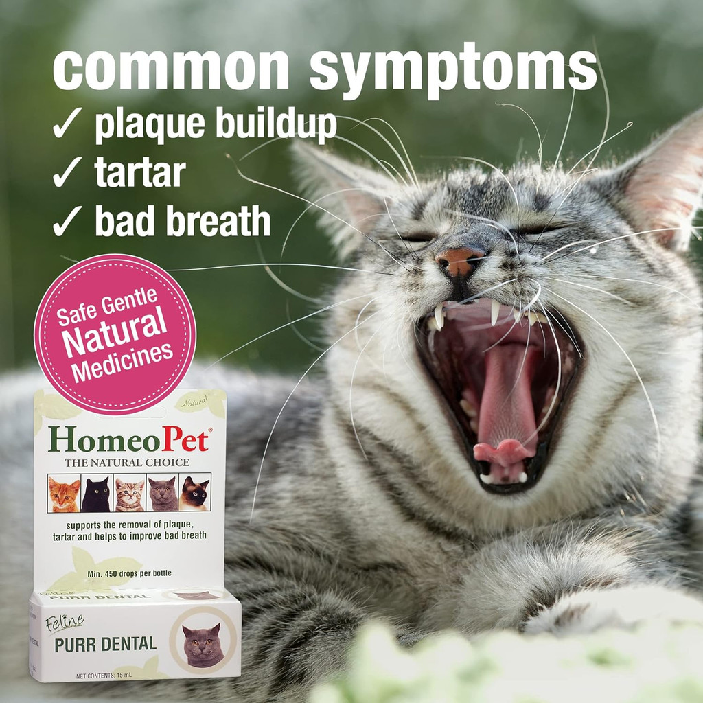 HomeoPet Purr Dental Natural Cat and Kitten Dental Care 15-mL